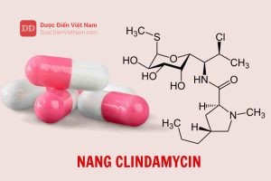 Nang Clindamycin - Dược điển Việt Nam 5 bản bổ sung