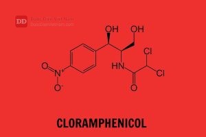 Cloramphenicol - Dược điển Việt Nam 5 bản bổ sung