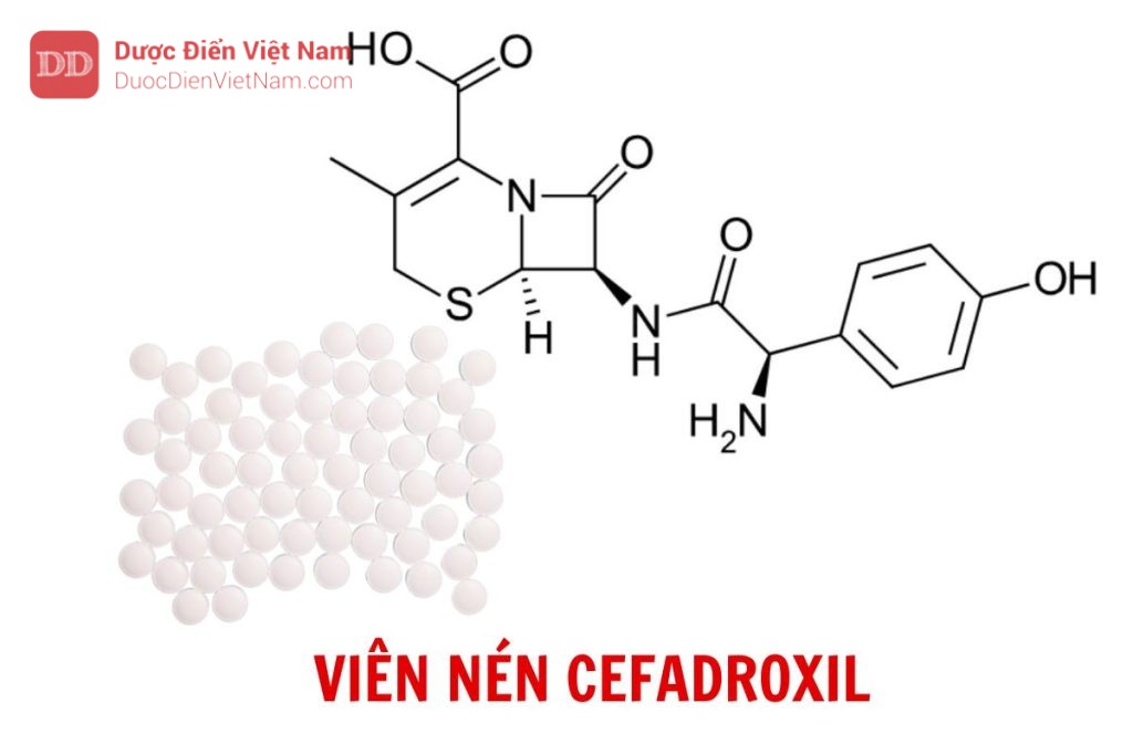 Viên nén Cefadroxil - Dược điển Việt Nam 5 bản bổ sung