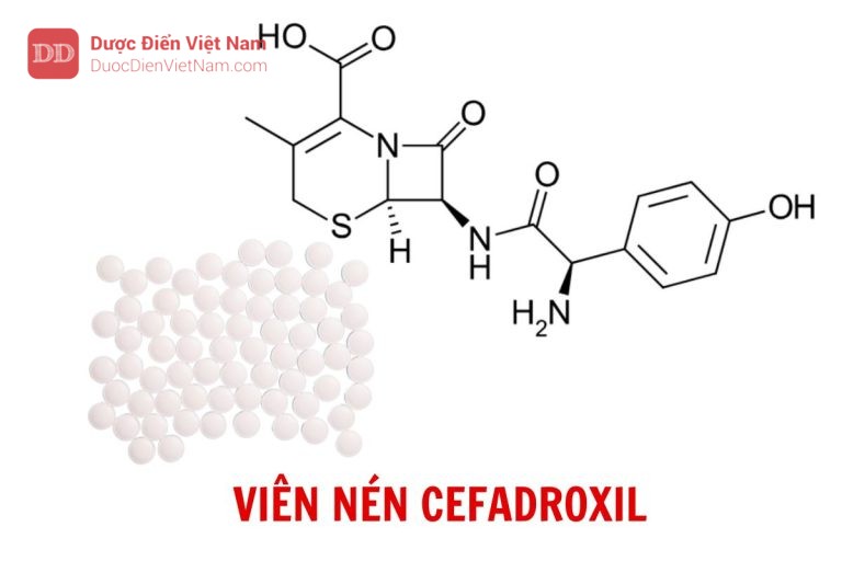 Viên nén Cefadroxil - Dược điển Việt Nam 5 bản bổ sung