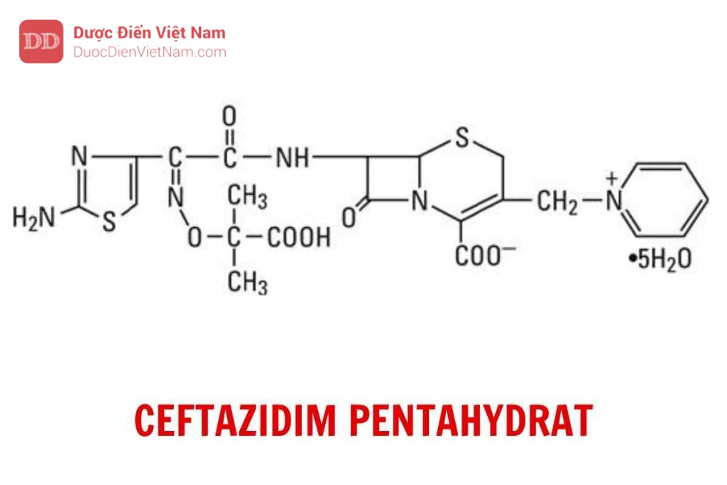 Ceftazidim pentahydrat - Dược điển Việt Nam 5 bản bổ sung