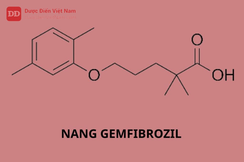 Nang Gemfibrozil