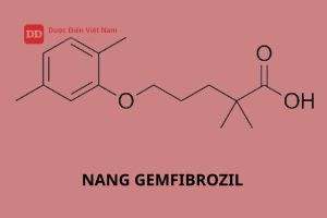 Nang Gemfibrozil