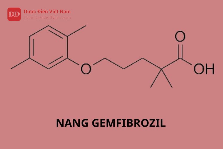 Nang Gemfibrozil