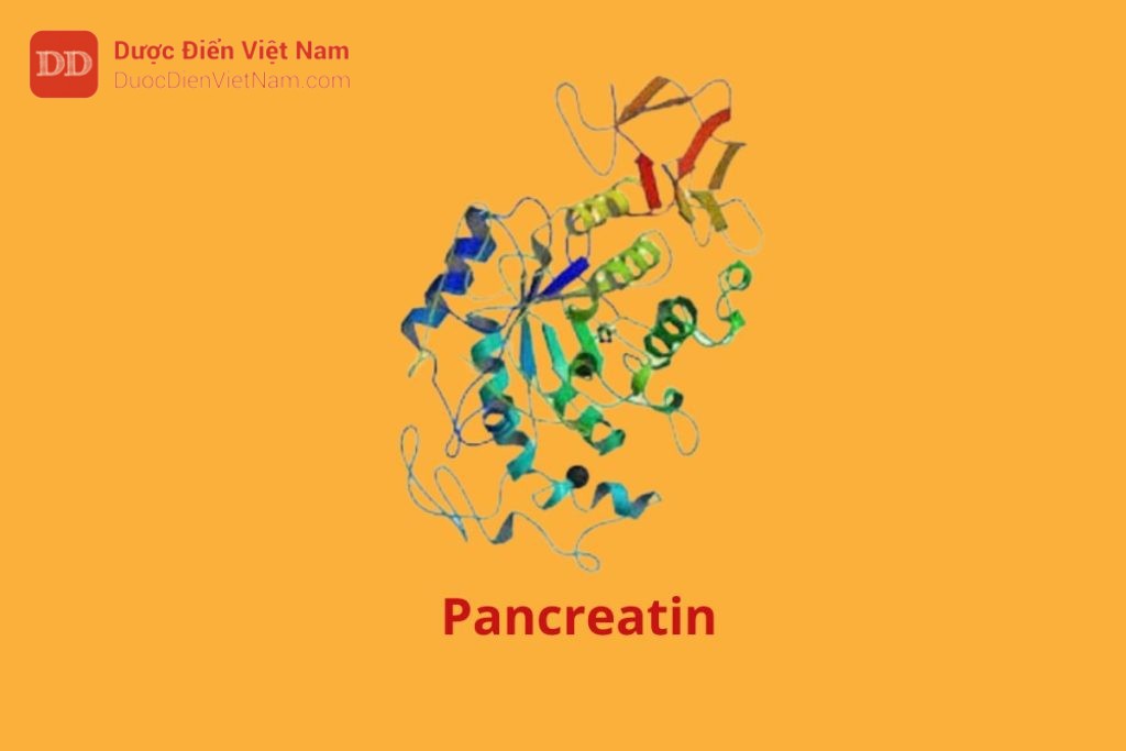 Pancreatin