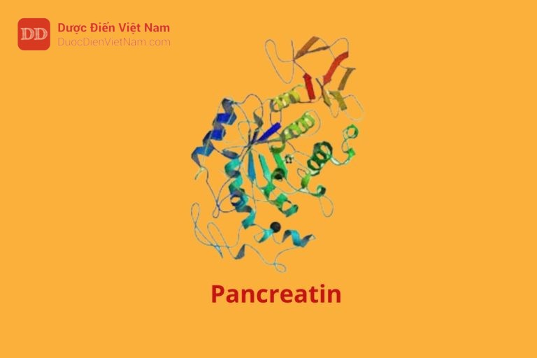 Pancreatin