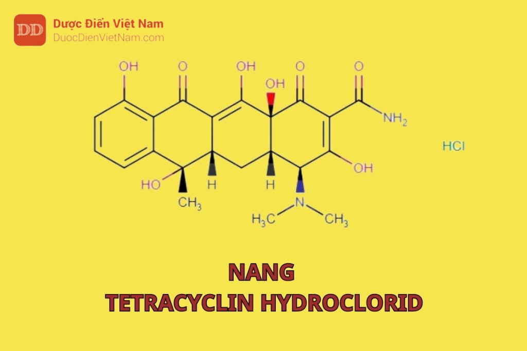 Nang Tetracyclin hydroclorid