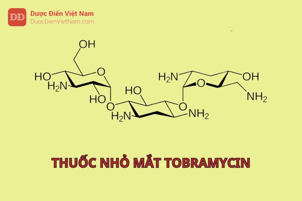 Thuốc nhỏ mắt Tobramycin