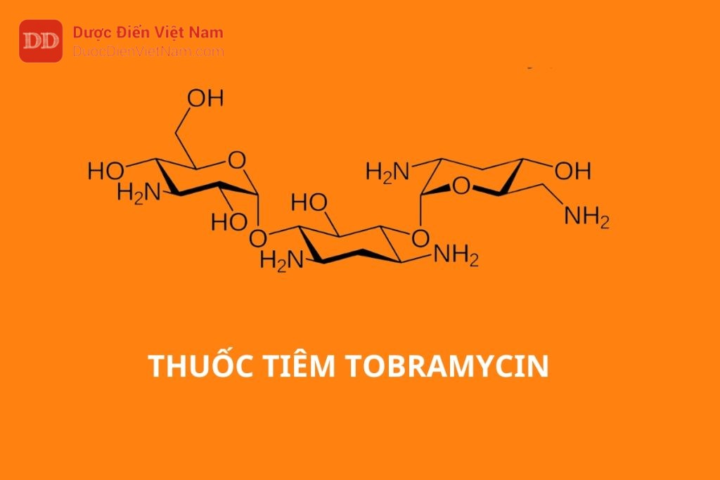 Thuốc tiêm Tobramycin