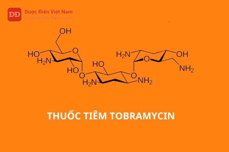 Thuốc tiêm Tobramycin