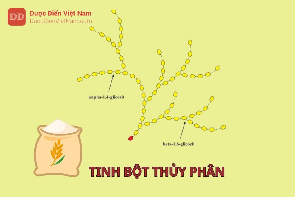 Tinh bột thủy phân