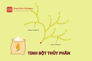 Tinh bột thủy phân