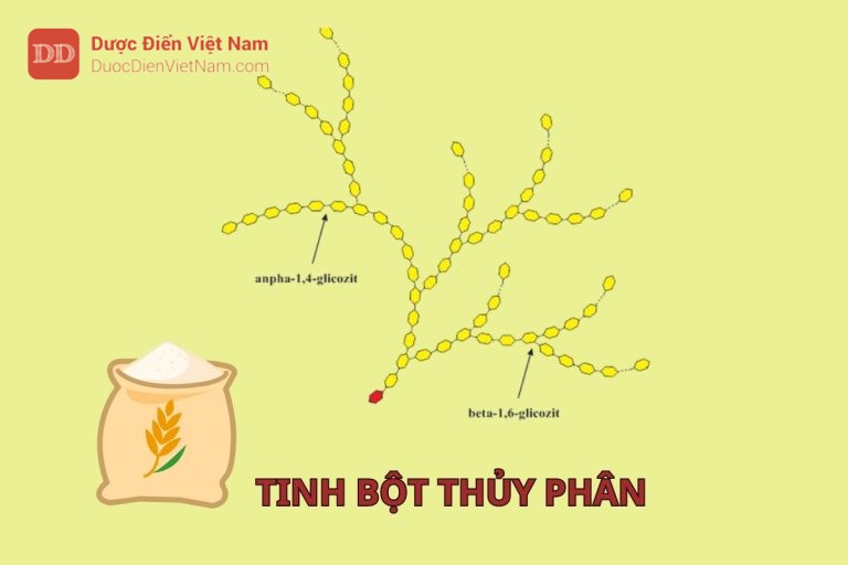 Tinh bột thủy phân