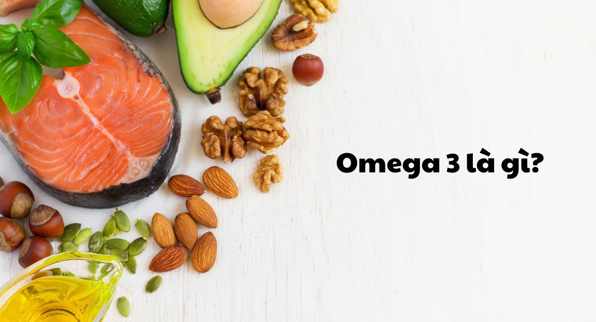 Omega 3 là gì?