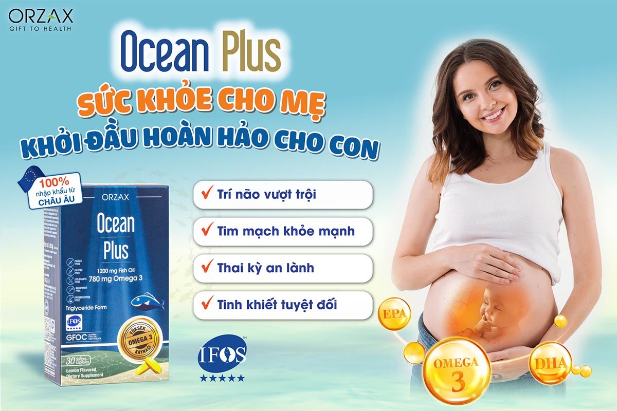 Ocean Plus