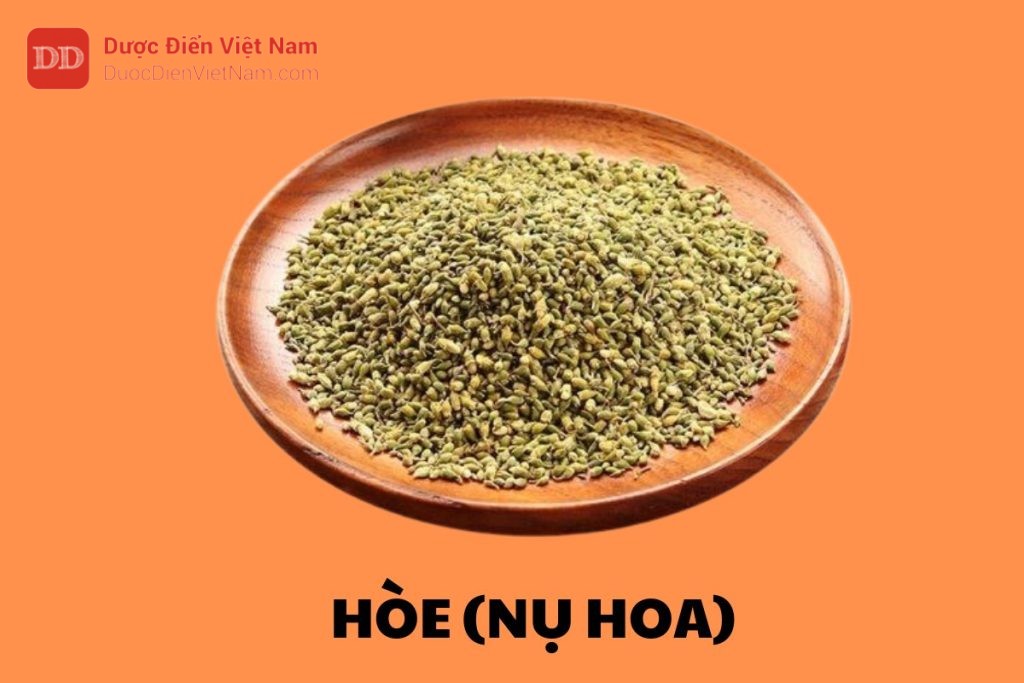 Hòe (Nụ hoa)