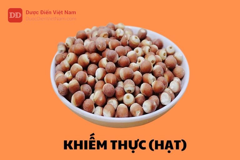 Khiếm Thực (Hạt)