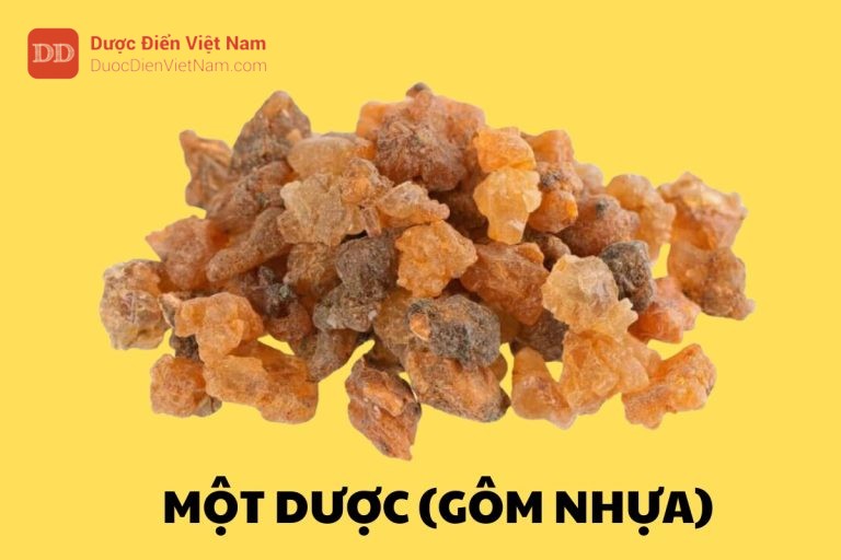 Một Dược (Gôm nhựa)