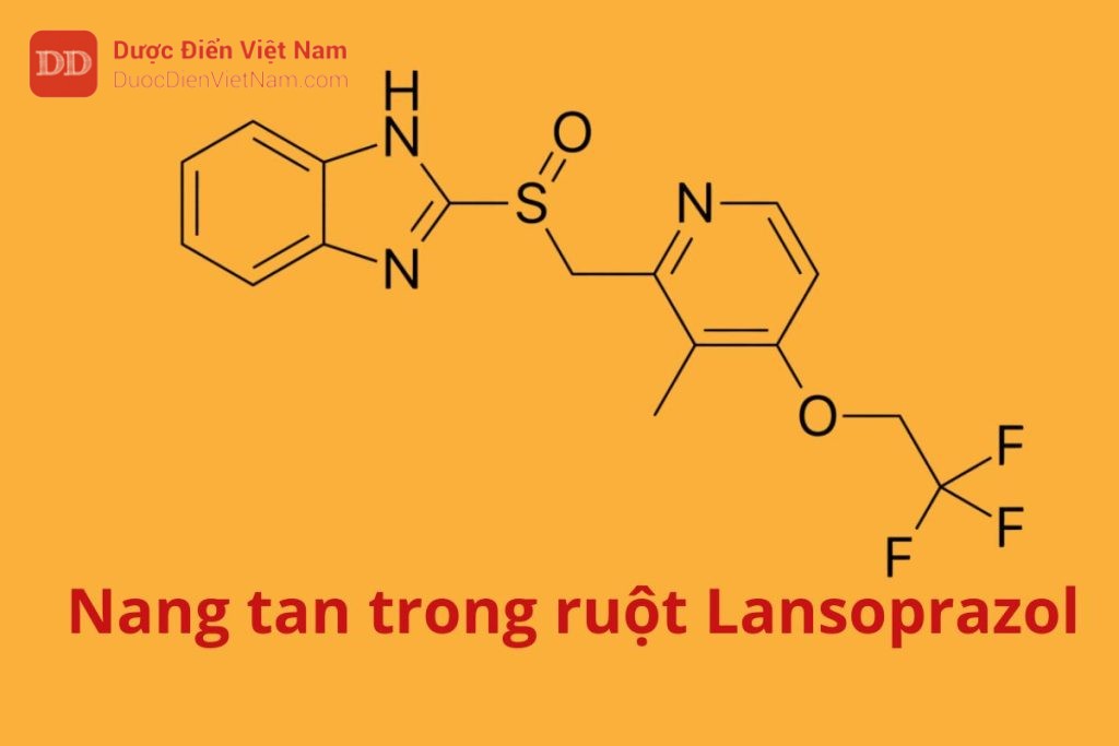 Nang tan trong ruột Lansoprazol