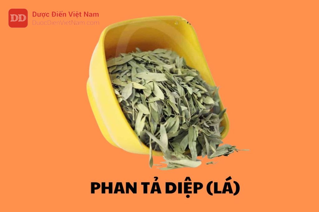 Phan Tả Diệp (Lá)