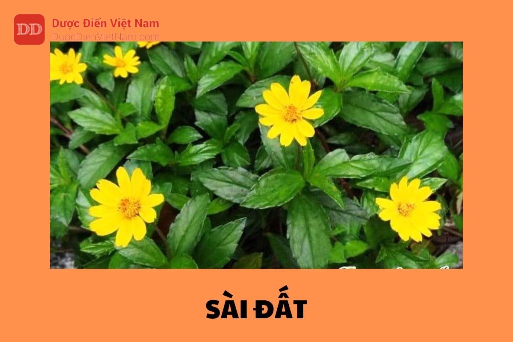 Sài Đất