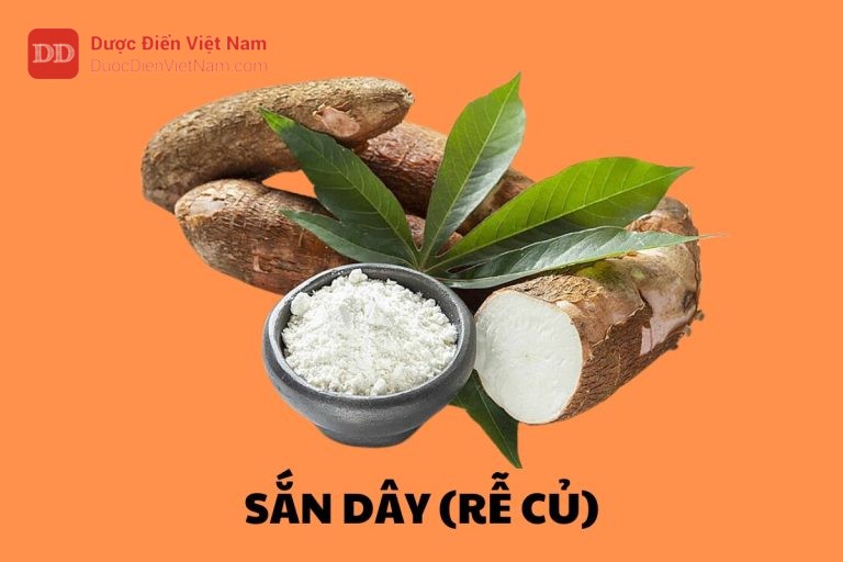 Sắn Dây (Rễ củ)