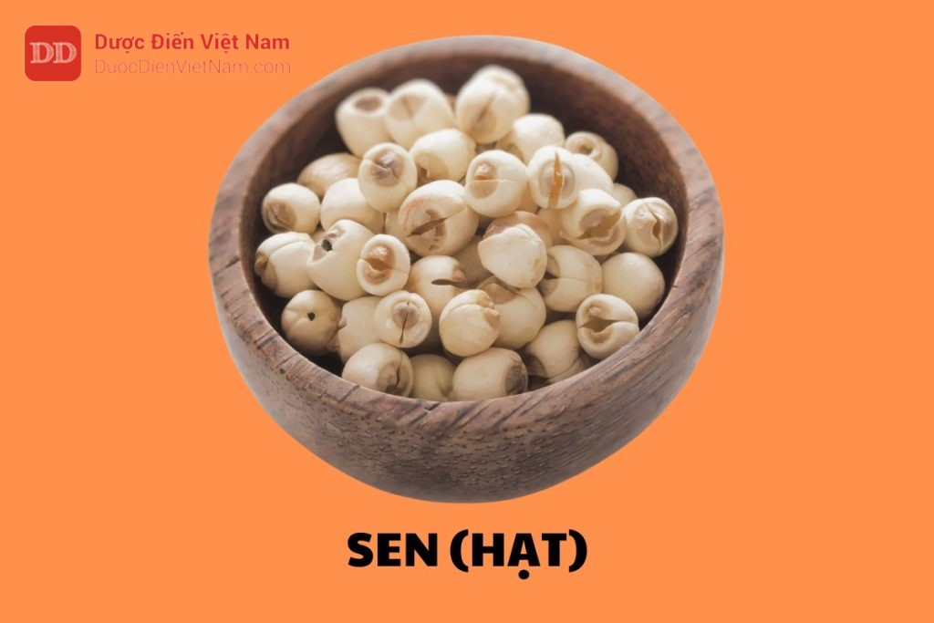 Sen (Hạt)