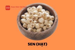 Sen (Hạt)