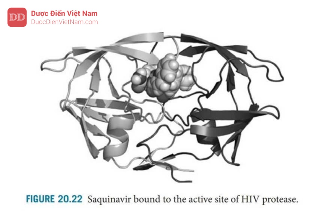 THUỐC KHÁNG VIRUS ARN: HIV