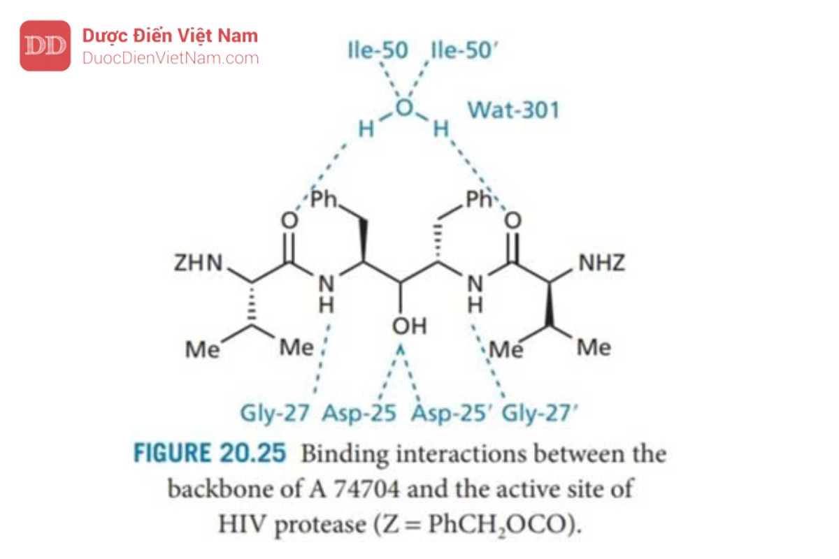 THUỐC KHÁNG VIRUS ARN: HIV