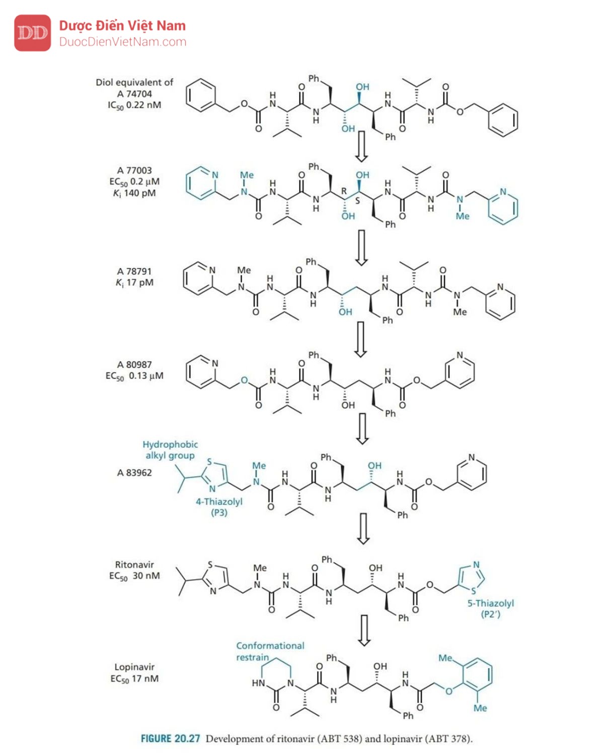 THUỐC KHÁNG VIRUS ARN: HIV