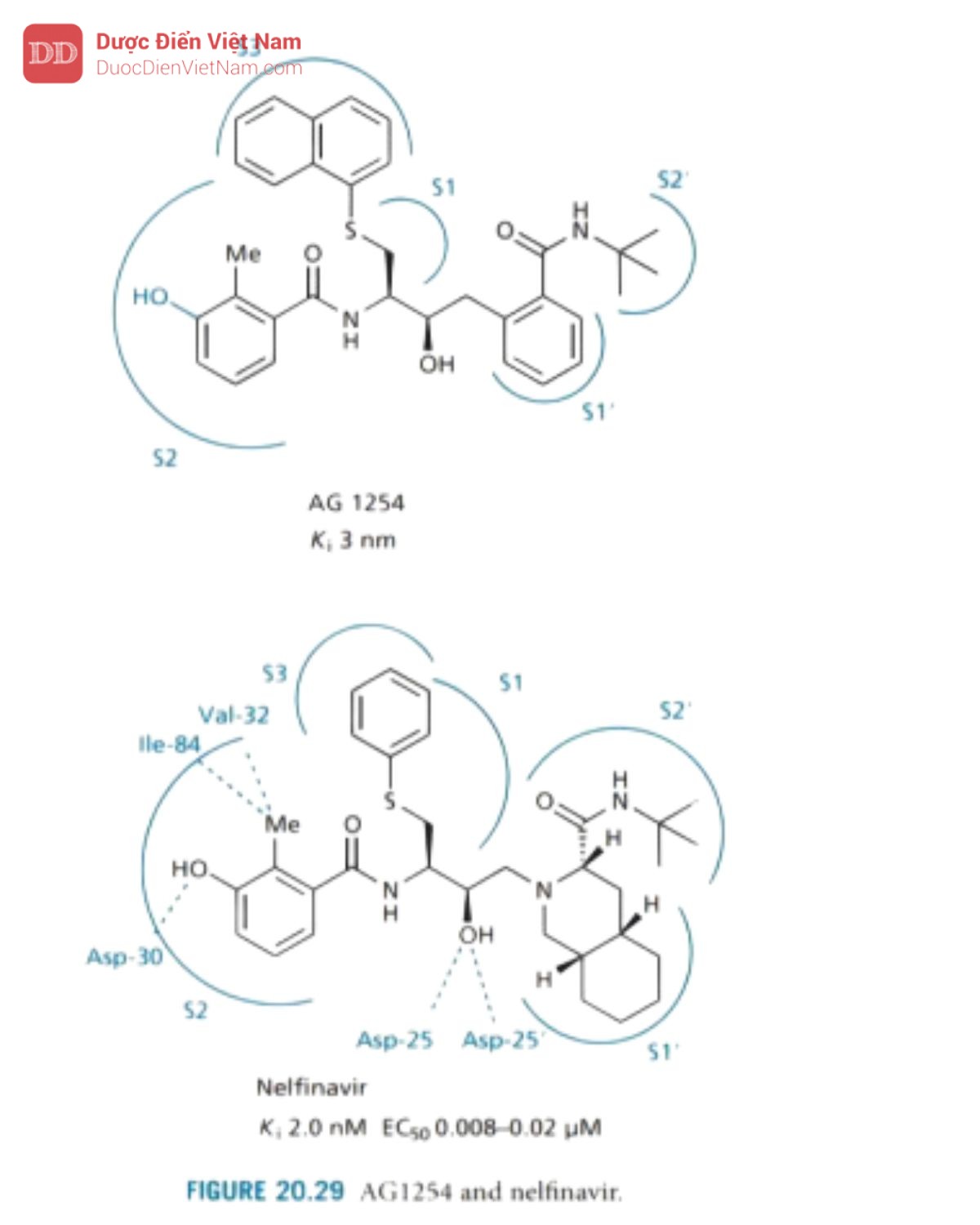 THUỐC KHÁNG VIRUS ARN: HIV