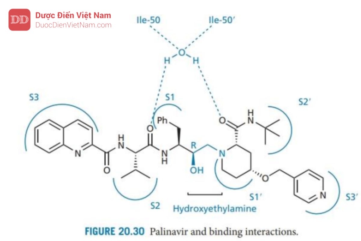 THUỐC KHÁNG VIRUS ARN: HIV