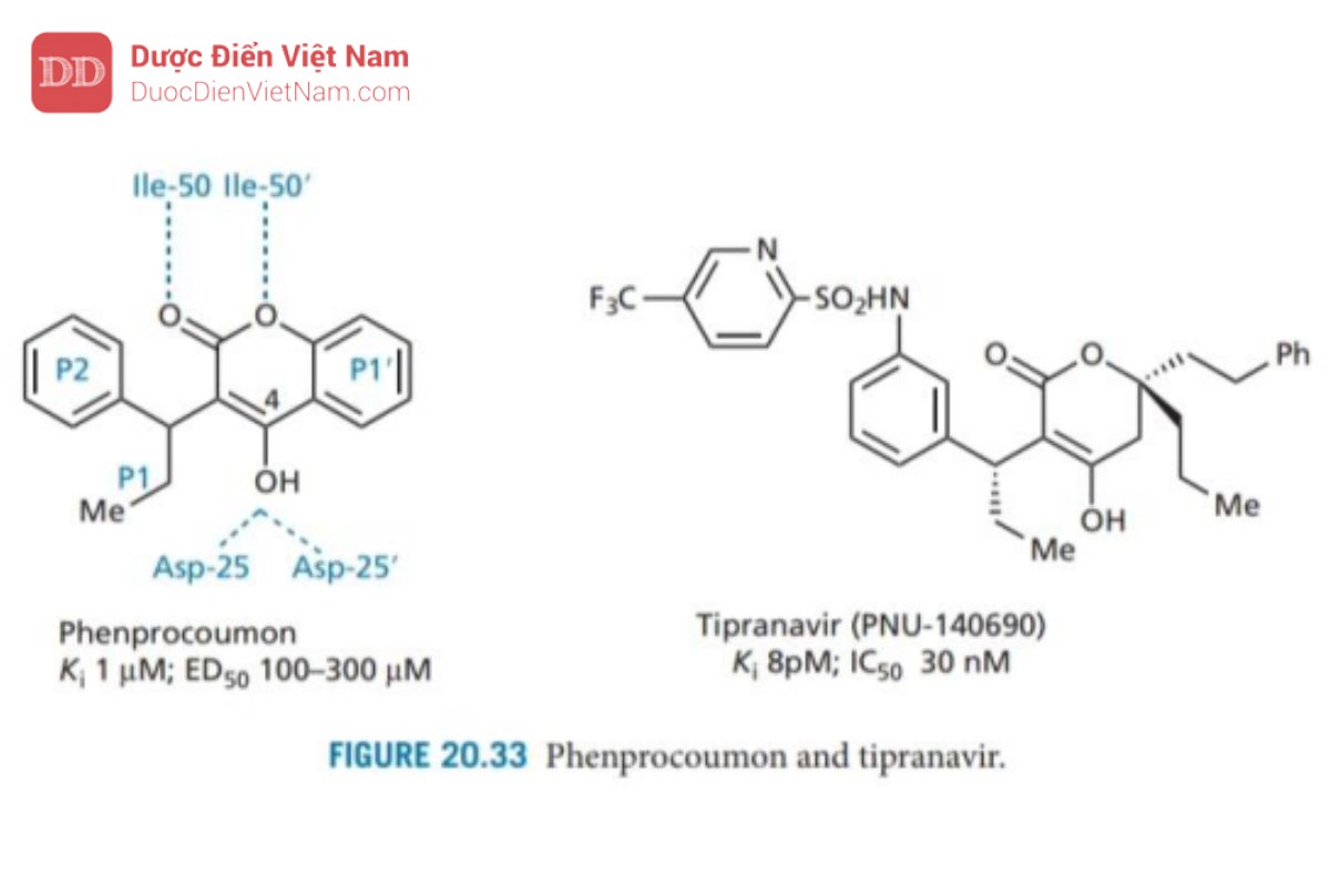 THUỐC KHÁNG VIRUS ARN: HIV