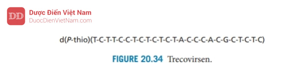 THUỐC KHÁNG VIRUS ARN: HIV