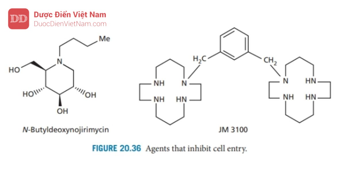 THUỐC KHÁNG VIRUS ARN: HIV