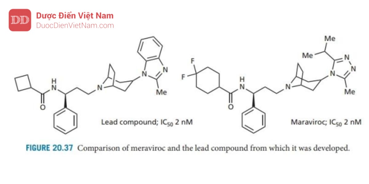 THUỐC KHÁNG VIRUS ARN: HIV