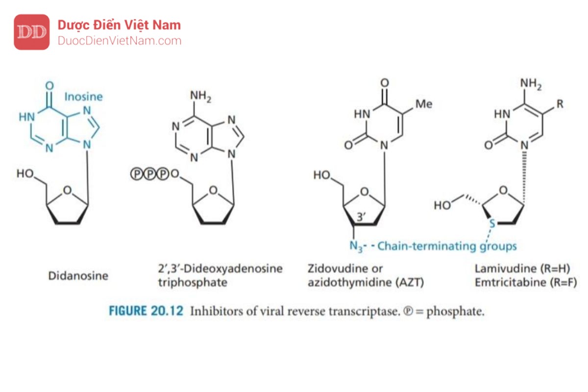 THUỐC KHÁNG VIRUS ARN: HIV