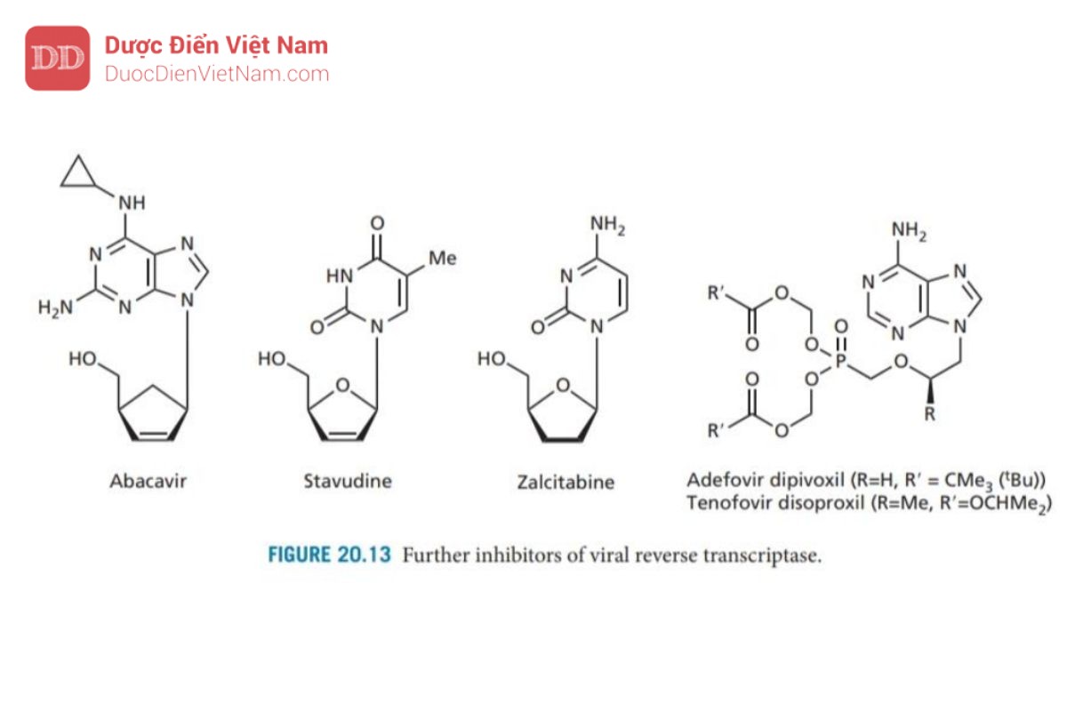 THUỐC KHÁNG VIRUS ARN: HIV