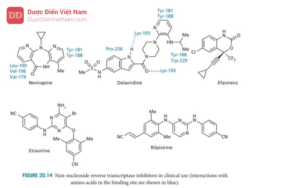 THUỐC KHÁNG VIRUS ARN: HIV