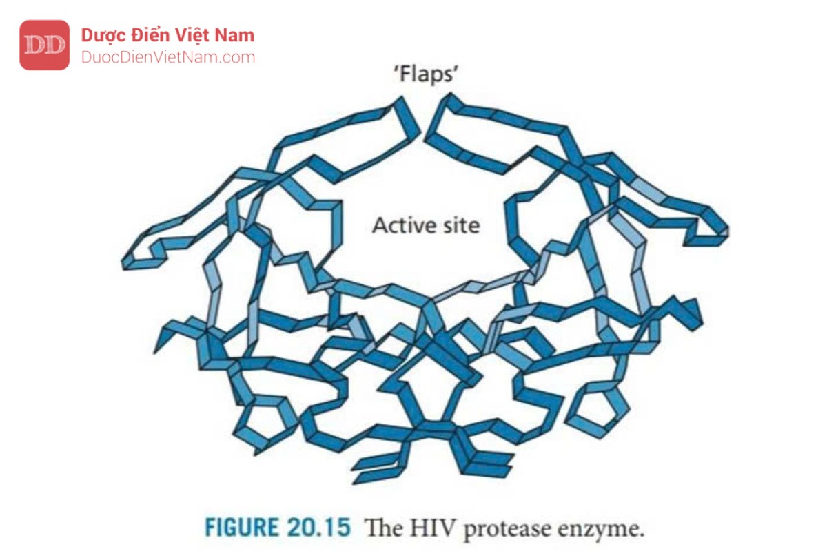 THUỐC KHÁNG VIRUS ARN: HIV