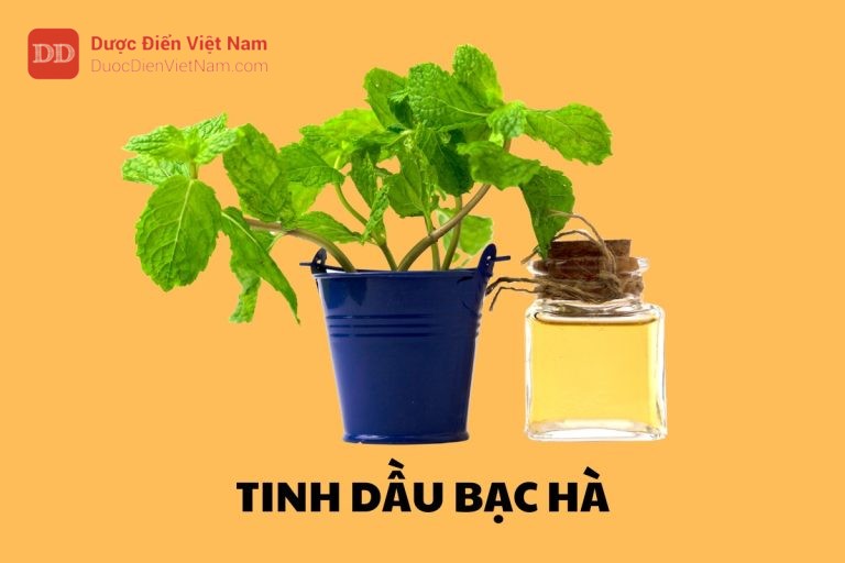 Tinh dầu Bạc Hà