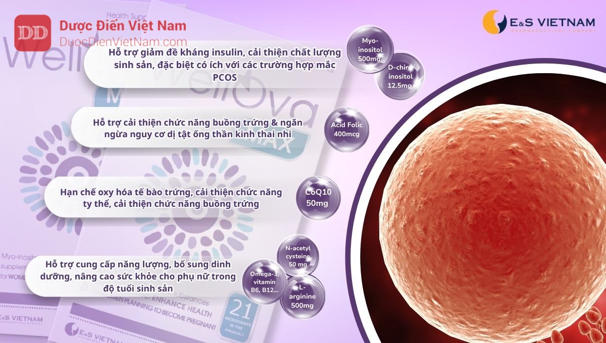 WellOva Max bổ sung các hoạt chất được chứng minh có tác dụng tích cực đối với sức khỏe ở phụ nữ sinh sản