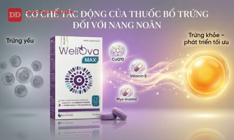 Thuốc bổ trứng bổ sung các dưỡng chất giúp nuôi dưỡng và bảo vệ tế bào trứng