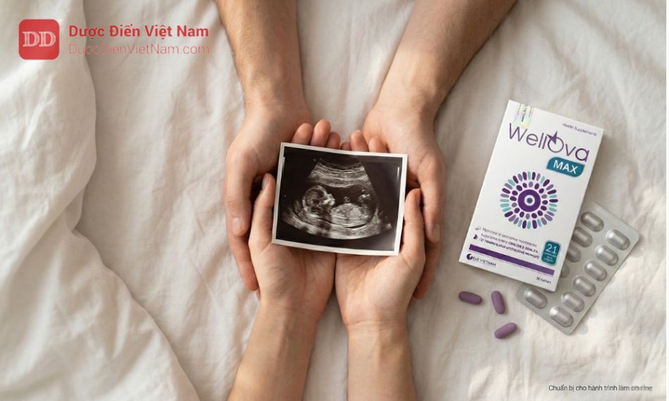 Bổ trứng WellOva Max