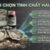 Các tiêu chí chọn đúng tinh chất hàu tốt