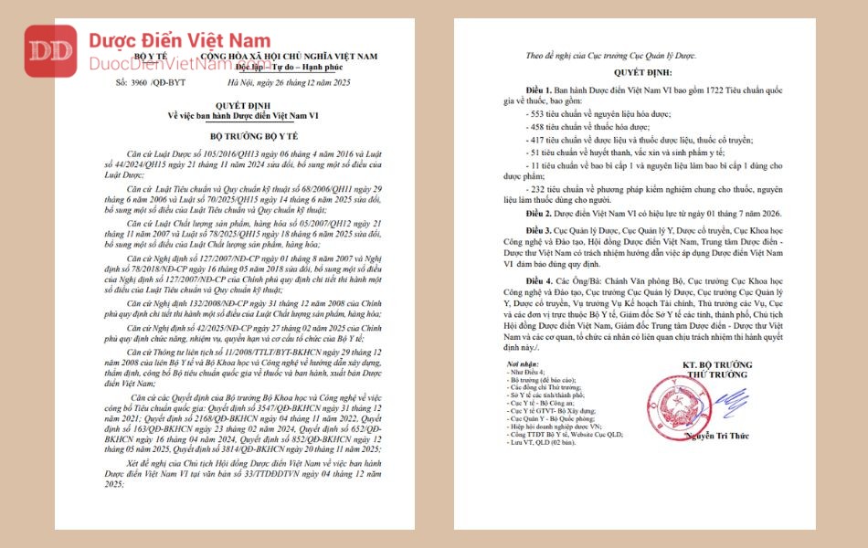 duocdien-viet-nam-vi