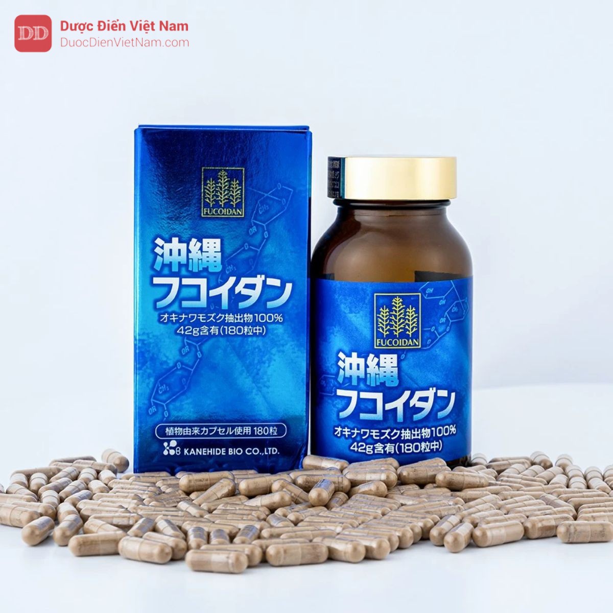 Viên uống Okinawa Fucoidan +++