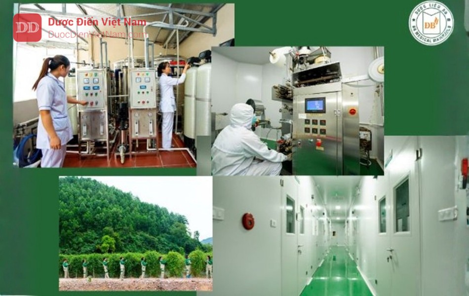 Đưa thảo dược vào sản xuất