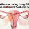 Niêm mạc mỏng trong IVF Có thể cải thiện với hoạt chất nào?